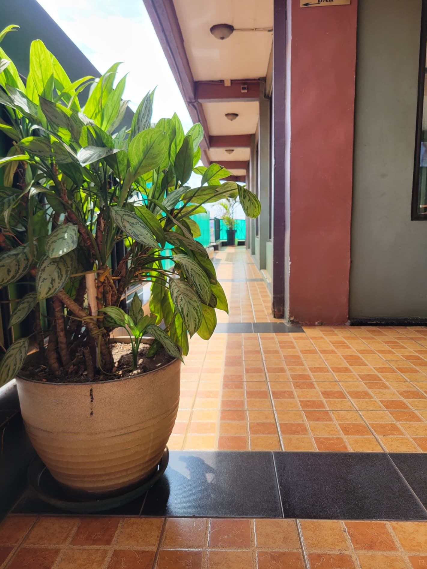 Hotel Gallery